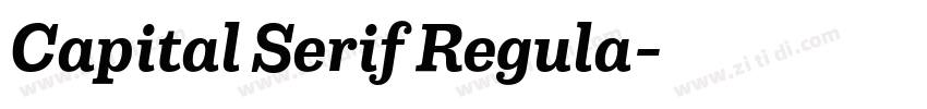 Capital Serif Regula字体转换 Capital Serif Regula字体转换